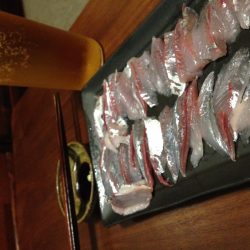 タチウオは爆風にて。。。